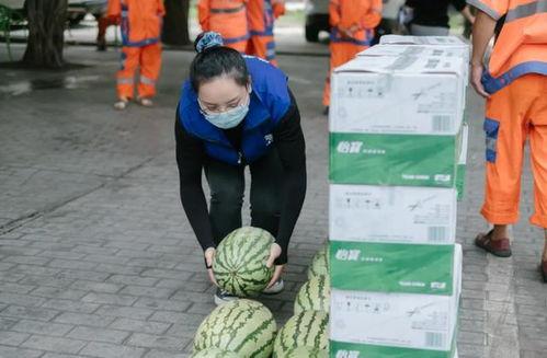 吃瓜搬小板凳视频在线观看,在线观看热潮背后的故事