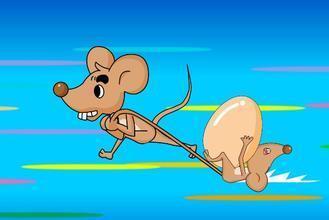 小老鼠吃瓜的故事视频,一场甜蜜的冒险之旅