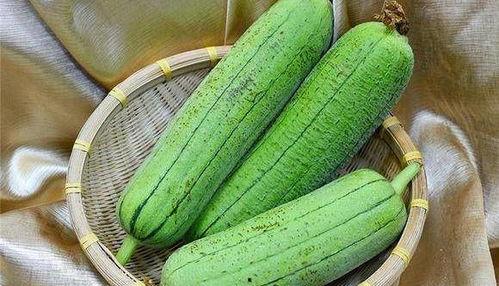 水瓜嫩芽可以吃吗视频教程,视频教程教你轻松烹饪美味佳肴