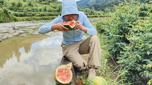 三嫂在地里吃瓜视频,吃瓜视频走红网络