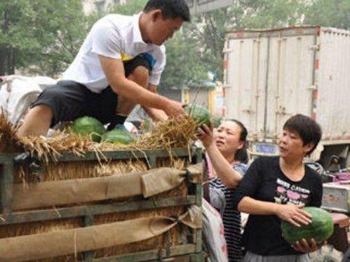 仙居县吃瓜事件视频,一场引发热议的网络视频风波