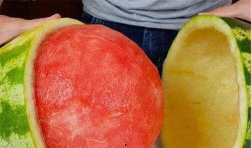 最新有关泰国吃瓜的视频,揭秘街头美食背后的故事