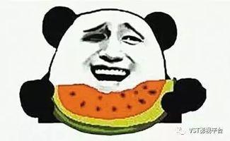 吃瓜群众小胖哥视频,揭秘娱乐圈幕后故事