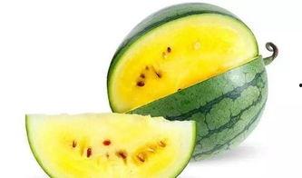 好饿的吃瓜视频,揭秘娱乐圈幕后故事，带你领略明星们的真实生活