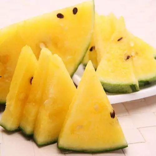 葵瓜怎么吃最好吃视频教程,视频教程教你最佳食用技巧