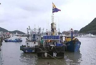 舟山吃瓜渔船事故视频,吃瓜群众目睹惊险瞬间