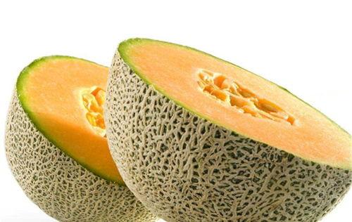 牧羊人吃哈密瓜好吗视频,美味与生活的完美融合