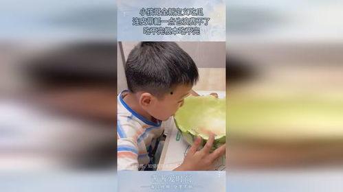 大爷吃瓜根本吃不完视频,瓜山难填,欢乐无限