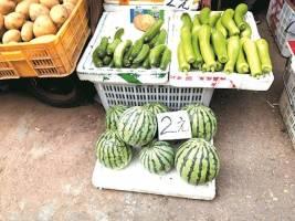 西瓜视频自由吃瓜