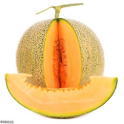 喂猫吃哈密瓜可以吗视频,哈密瓜成猫美食？揭秘喂猫吃哈密瓜的利与弊