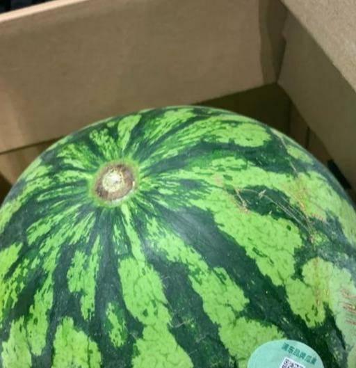 吃瓜网视频真假辨别,真假难辨，真相大白！